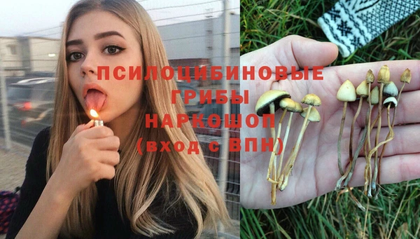 ПСИЛОЦИБИНОВЫЕ ГРИБЫ Белокуриха