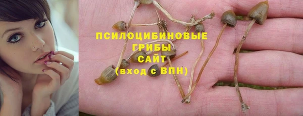 ПСИЛОЦИБИНОВЫЕ ГРИБЫ Белокуриха