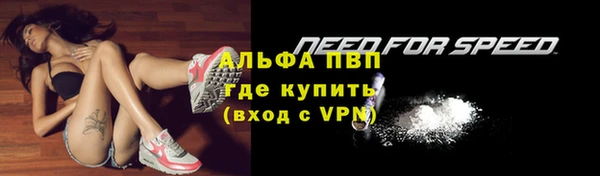 ПСИЛОЦИБИНОВЫЕ ГРИБЫ Белокуриха