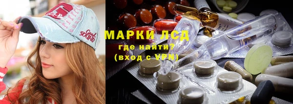 ПСИЛОЦИБИНОВЫЕ ГРИБЫ Белокуриха