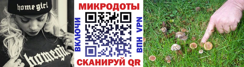 купить наркоту  KRAKEN ССЫЛКА  Галлюциногенные грибы Magic Shrooms  Шарья 